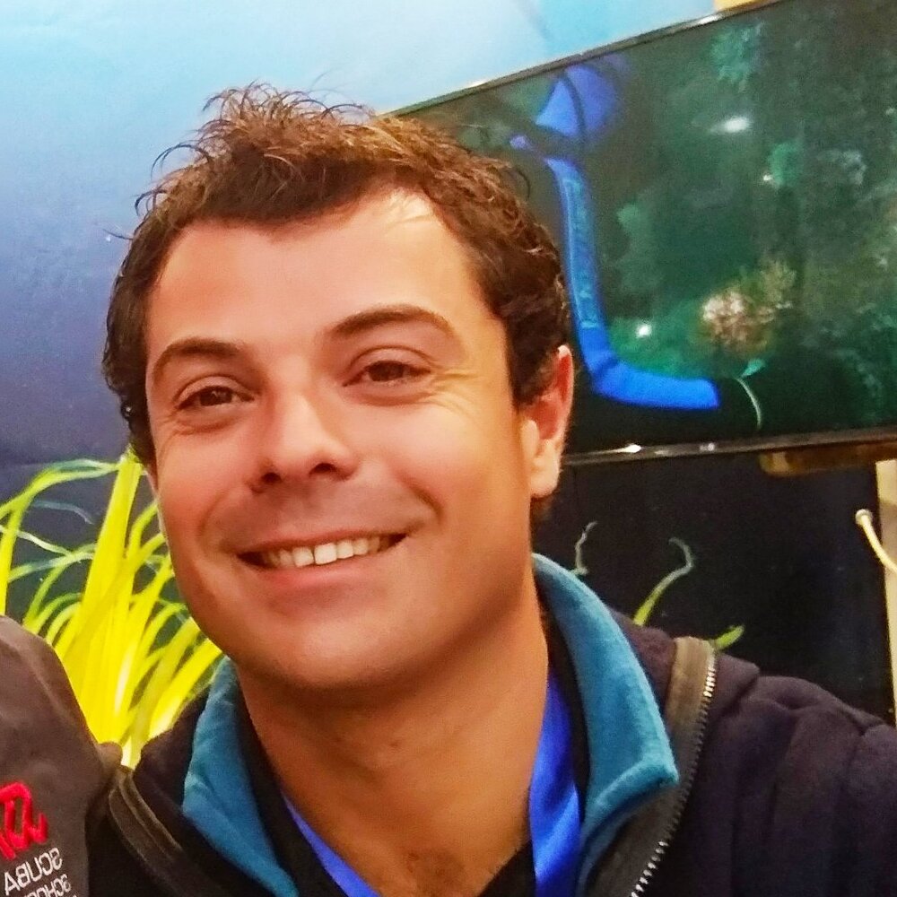Andre Ferreira